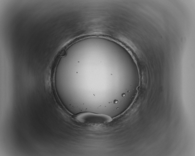 X0000102531452200808151544