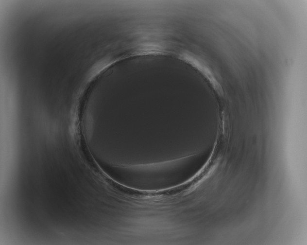 X0000102531453200808151544