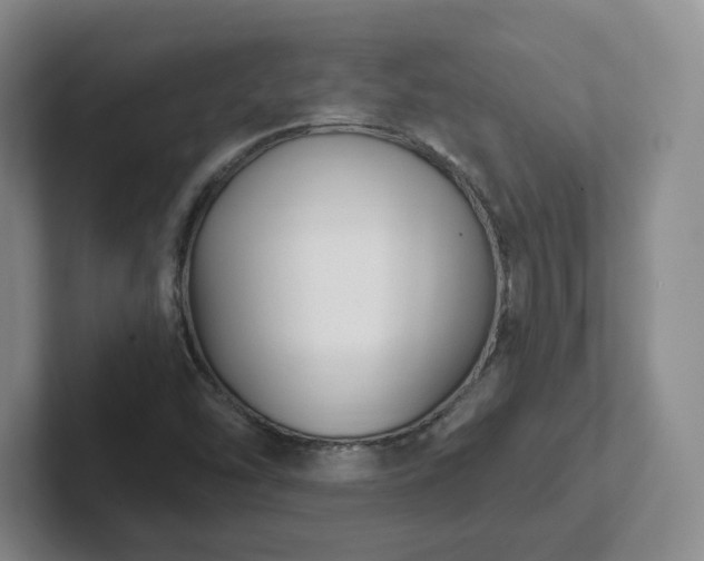 X0000102531454200808151544