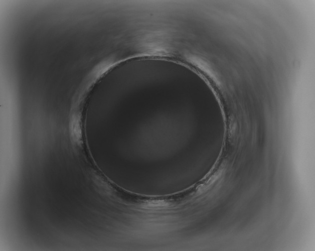 X0000102531455200808151544