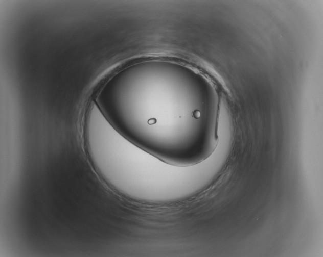 X0000102531456200808151544