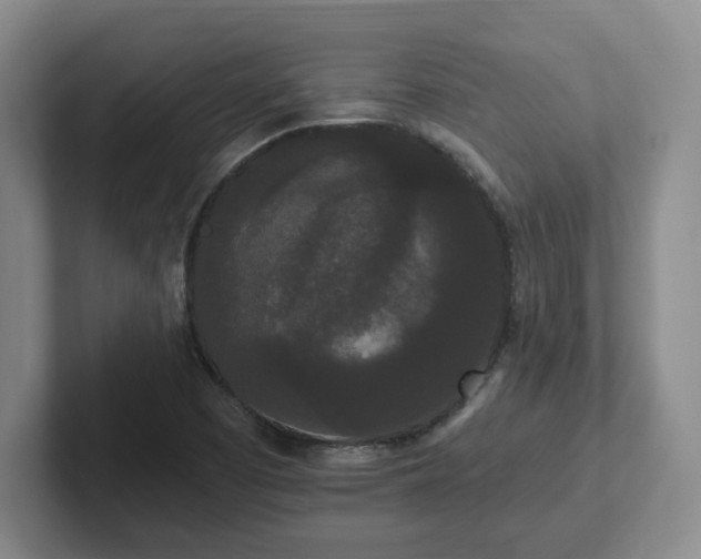 X0000102531457200808151544