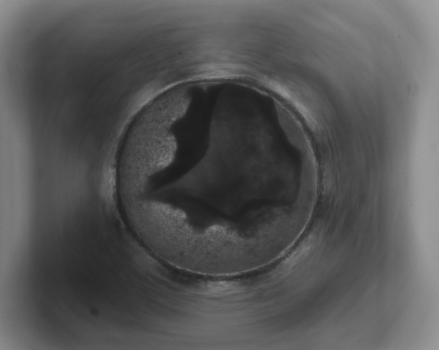 X0000102531459200808151544