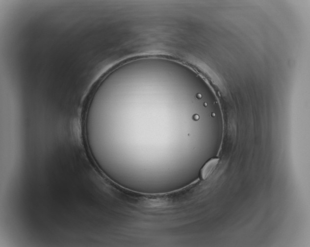 X0000102531460200808151544