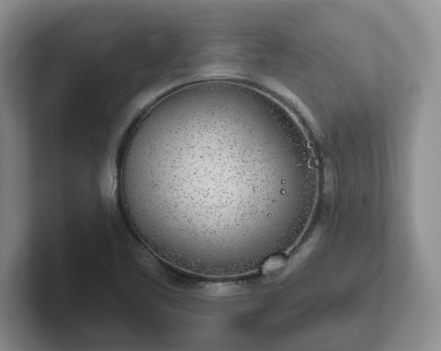 X0000102531461200808151544