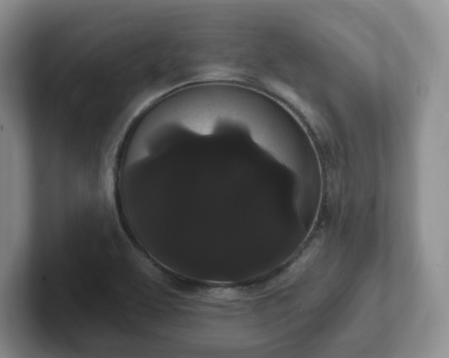 X0000102531463200808151544