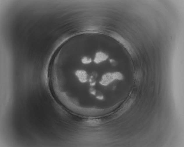 X0000102531466200808151544