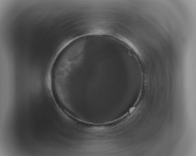 X0000102531468200808151544