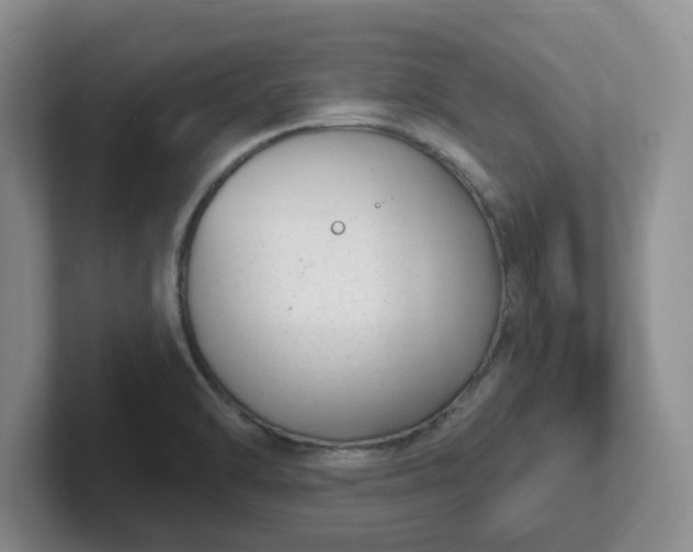 X0000102531470200808151544