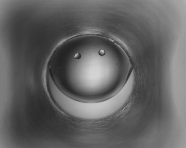 X0000102531471200808151544