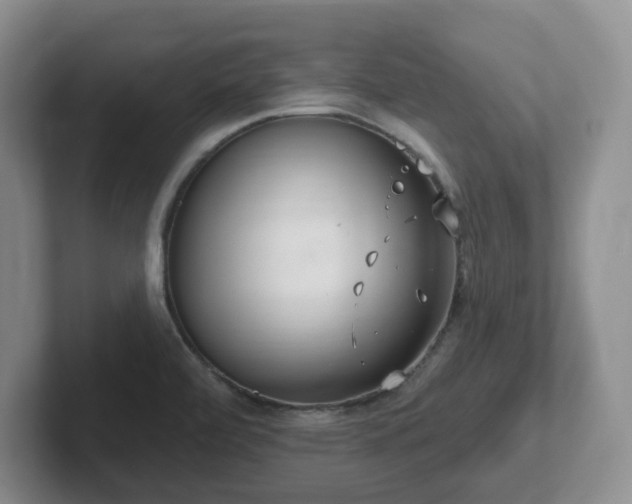 X0000102531472200808151544