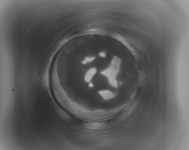 X0000102531474200808151544