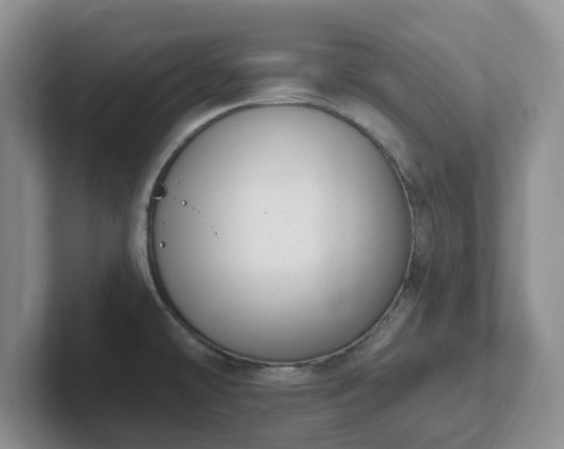 X0000102531478200808151544