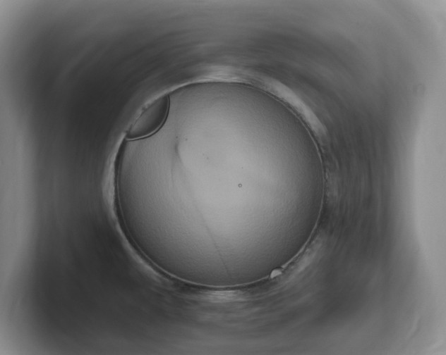 X0000102531479200808151544