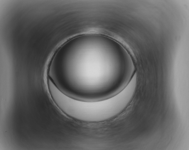 X0000102531480200808151544