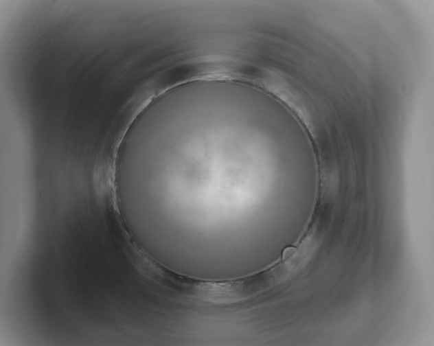 X0000102531481200808151544