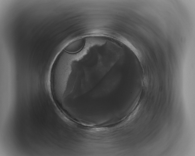 X0000102531482200808151544