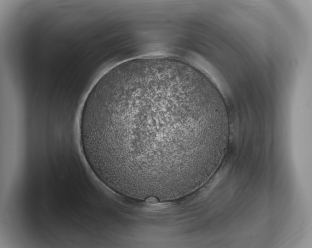 X0000102531483200808151544