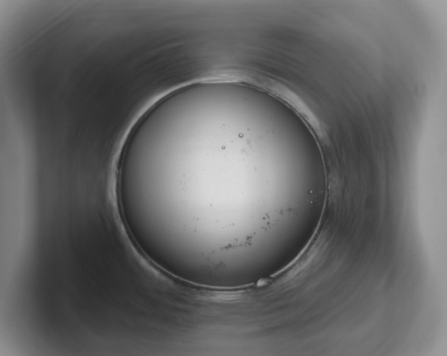 X0000102531484200808151544