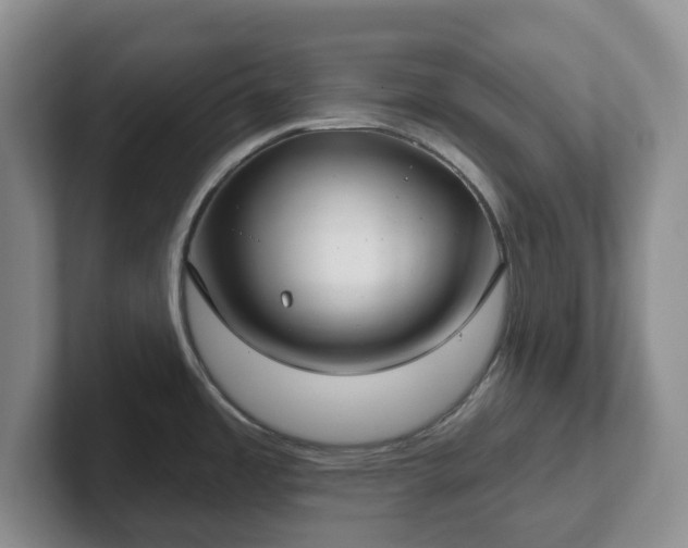 X0000102531485200808151544