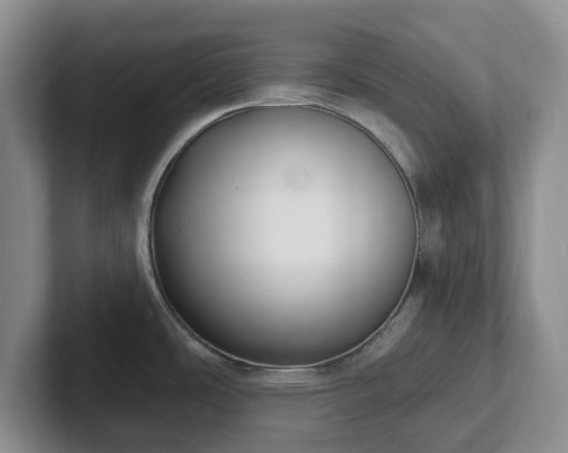 X0000102531486200808151544