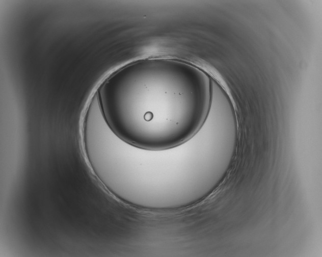 X0000102531488200808151544