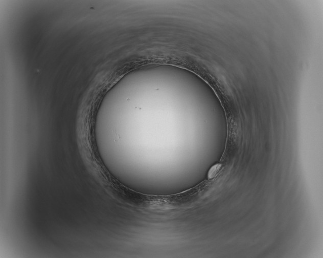 X0000102531489200808151543