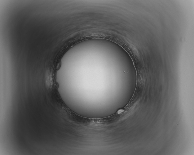 X0000102531490200808151543