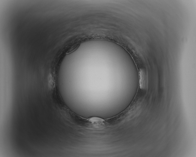 X0000102531491200808151543