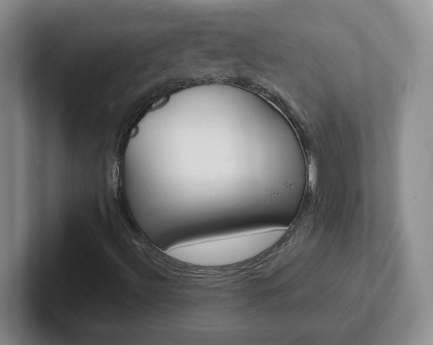 X0000102531492200808151543