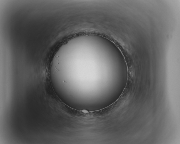 X0000102531495200808151543