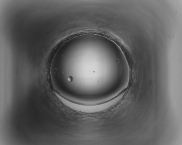 X0000102531496200808151543