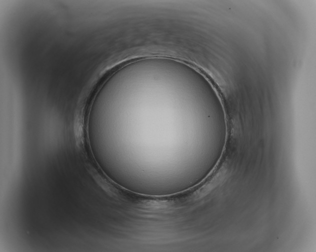 X0000102531499200808151543