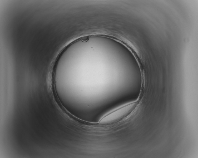 X0000102531500200808151543