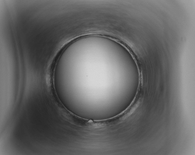 X0000102531501200808151543