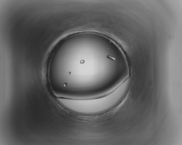 X0000102531502200808151543