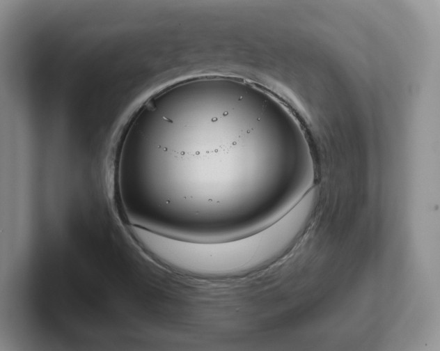 X0000102531504200808151543