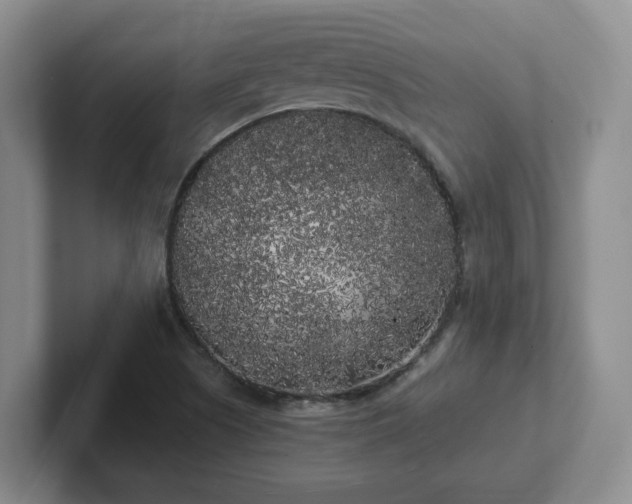 X0000102531505200808151543