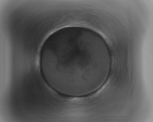 X0000102531506200808151543