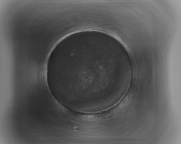 X0000102531508200808151544