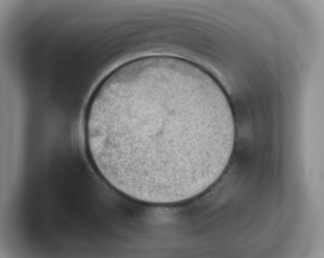 X0000102531514200808151544