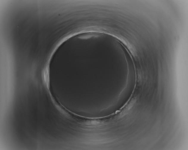 X0000102531515200808151544