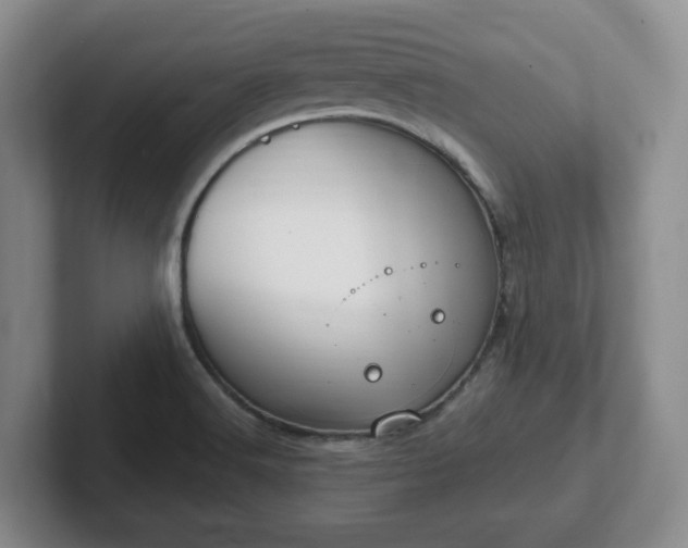 X0000102531516200808151544