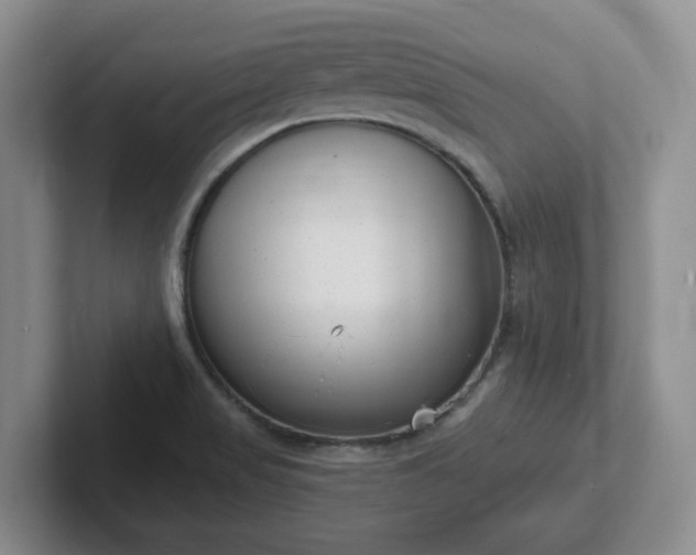 X0000102531517200808151544