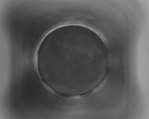 X0000102531519200808151544