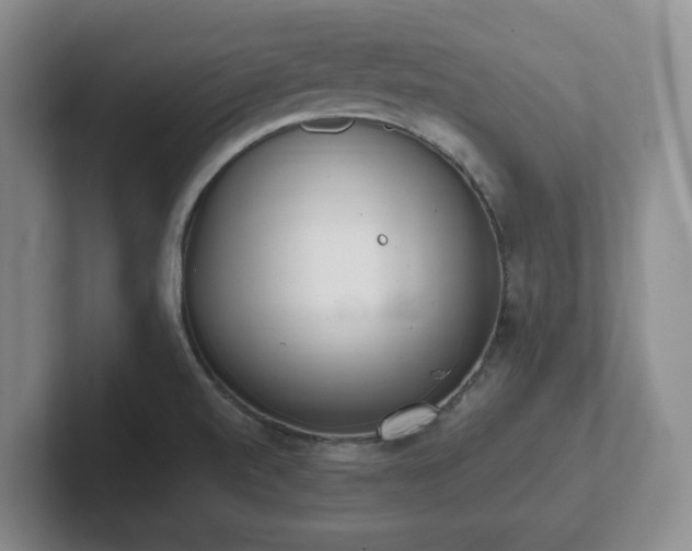 X0000102531520200808151544