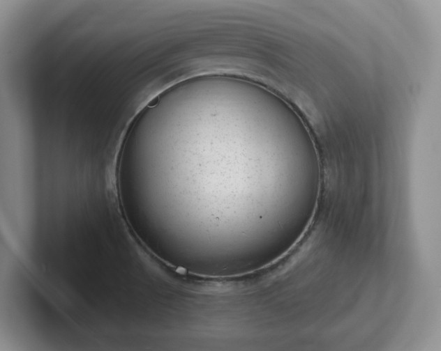 X0000102531521200808151544