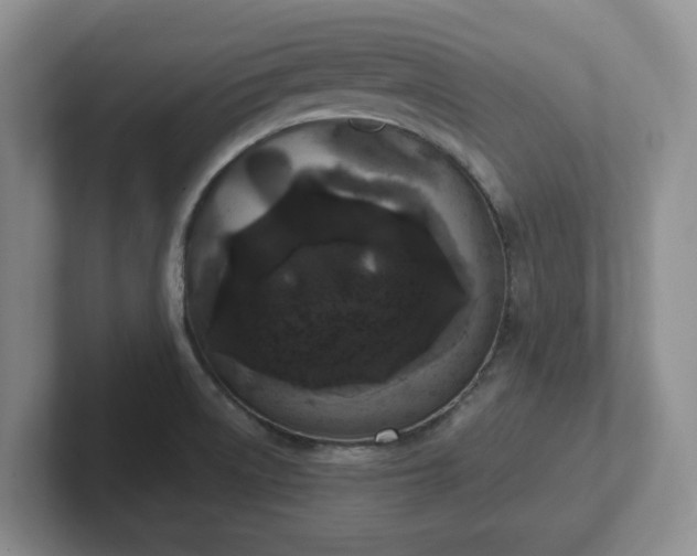 X0000102531522200808151544