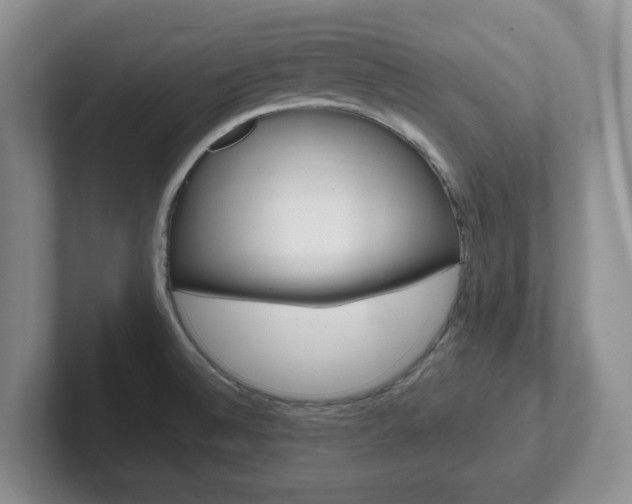 X0000102531524200808151544