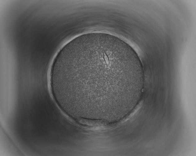 X0000102531525200808151544